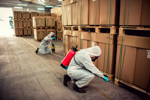 Best Wildlife Control Services  in Falconer, NY