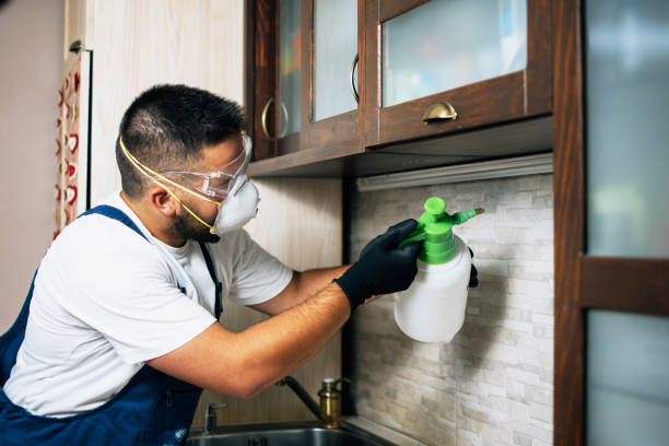 Best Pest Control Near Me  in Falconer, NY