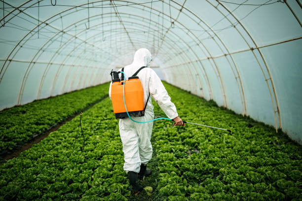 Best Pest Inspection Near Me  in Falconer, NY