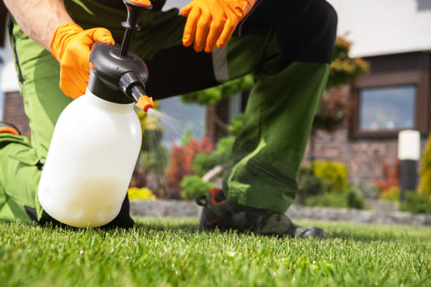Best Commercial Pest Control Services  in Falconer, NY
