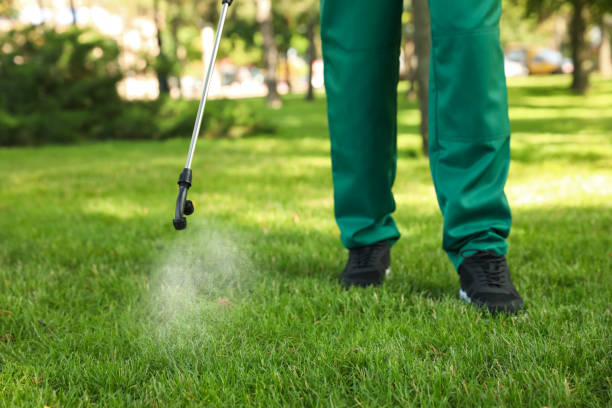 Best Wasp Removal Services  in Falconer, NY