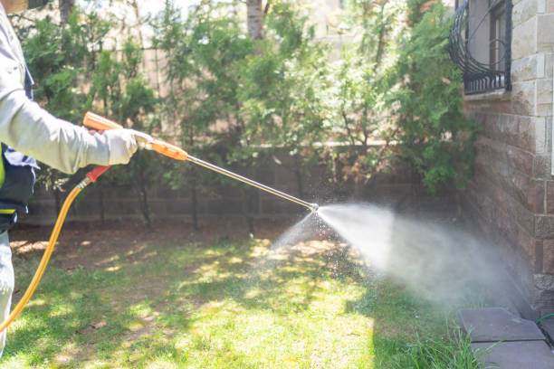 Best Pest Prevention Services  in Falconer, NY