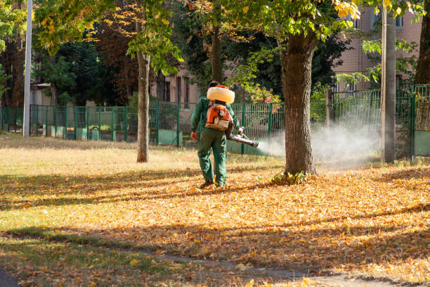 Best Termite Control Services  in Falconer, NY