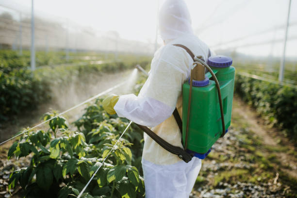 Best Emergency Pest Control  in Falconer, NY